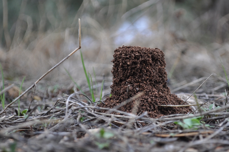 ����� ���� ��� �� ����� ��� ������ �� ������ �������