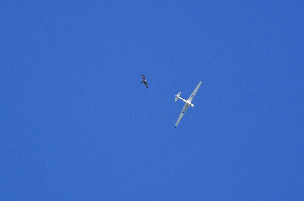 ����� ���� ��� �� ����� ��� ������ �� ������ �������