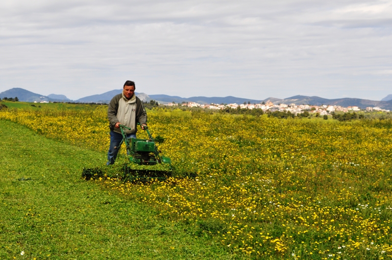 ����� ���� ��� �� ����� ��� ������ �� ������ �������