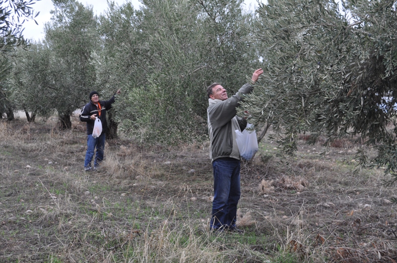 ����� ���� ��� �� ����� ��� ������ �� ������ �������