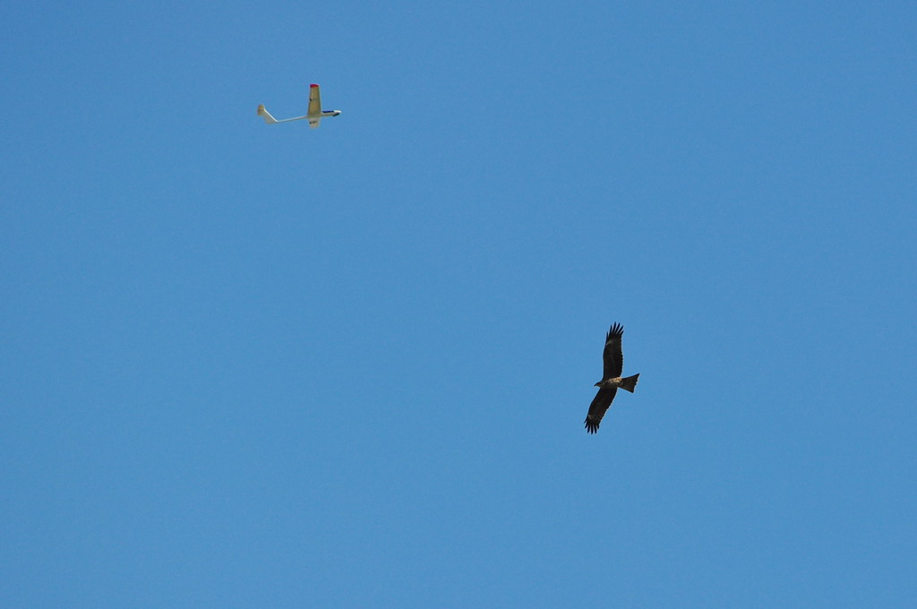 ����� ���� ��� �� ����� ��� ������ �� ������ �������