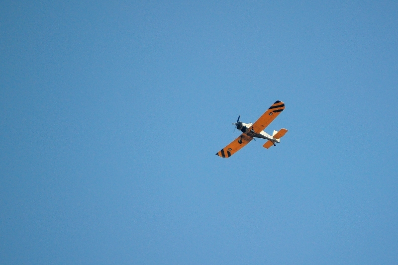 ����� ���� ��� �� ����� ��� ������ �� ������ �������