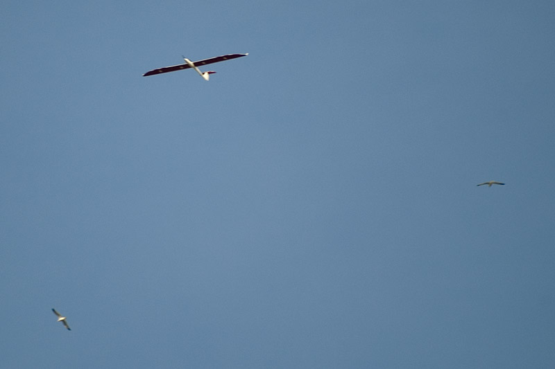 ����� ���� ��� �� ����� ��� ������ �� ������ �������