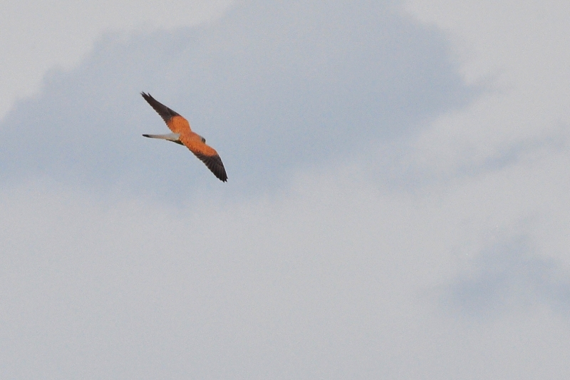 ����� ���� ��� �� ����� ��� ������ �� ������ �������