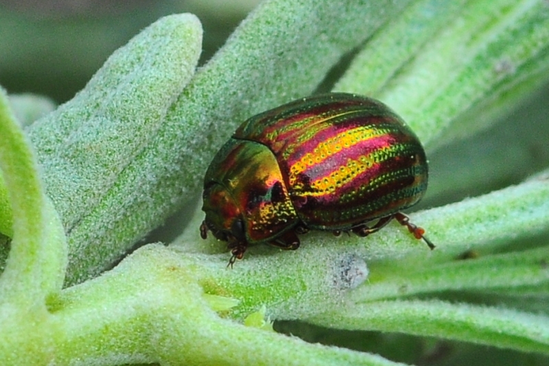 ����� ���� ��� �� ����� ��� ������ �� ������ �������