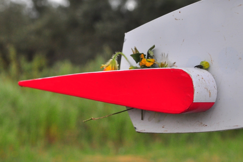 ����� ���� ��� �� ����� ��� ������ �� ������ �������