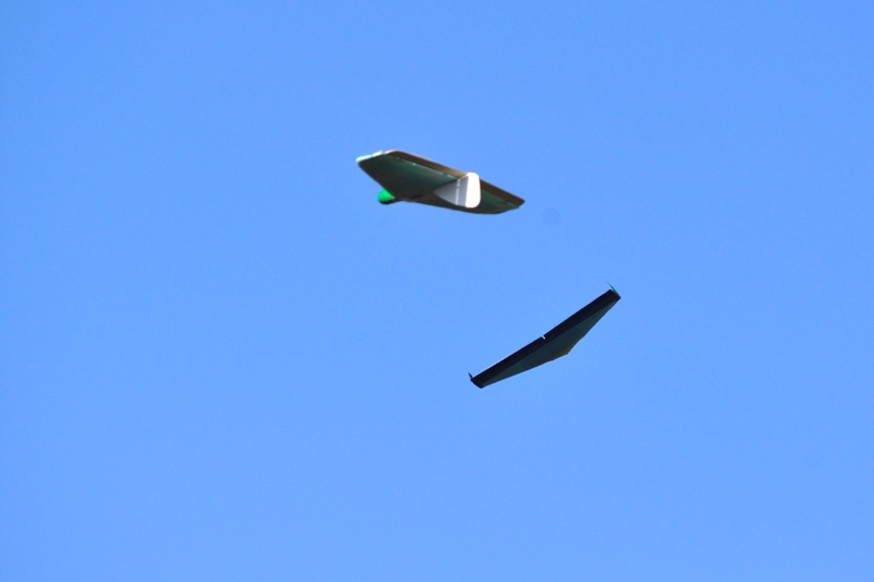 ����� ���� ��� �� ����� ��� ������ �� ������ �������