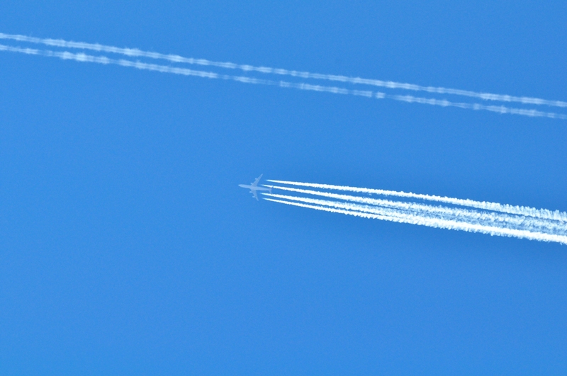 ����� ���� ��� �� ����� ��� ������ �� ������ �������