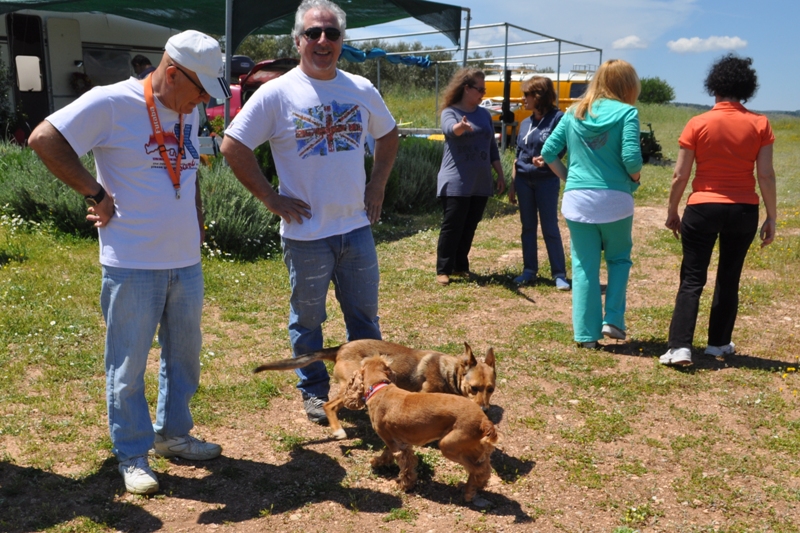 ����� ���� ��� �� ����� ��� ������ �� ������ �������