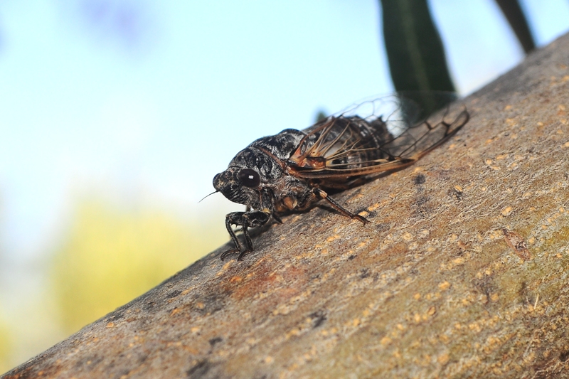 ����� ���� ��� �� ����� ��� ������ �� ������ �������