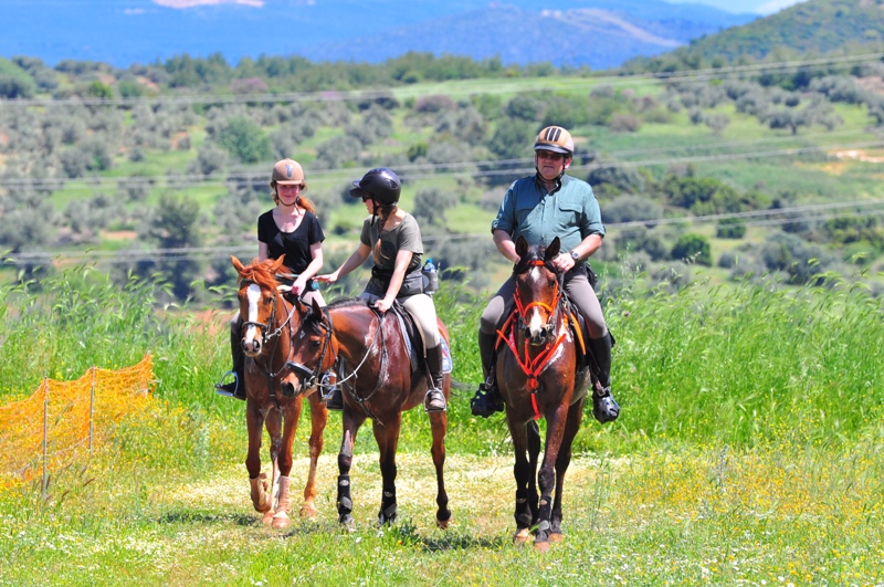 ����� ���� ��� �� ����� ��� ������ �� ������ �������