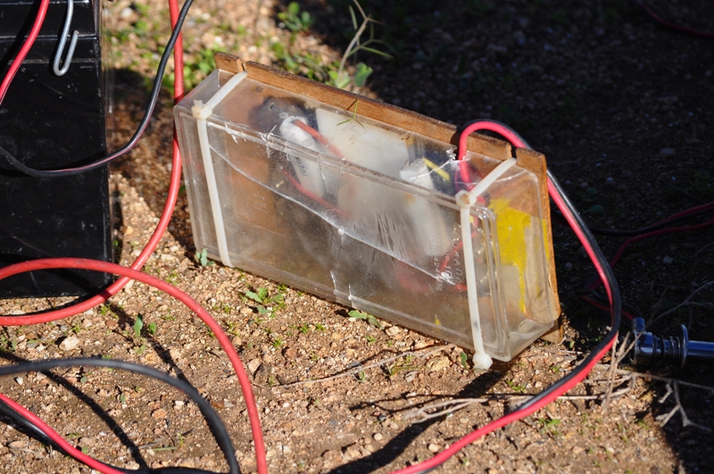 ����� ���� ��� �� ����� ��� ������ �� ������ �������