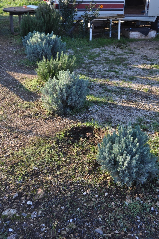 ����� ���� ��� �� ����� ��� ������ �� ������ �������