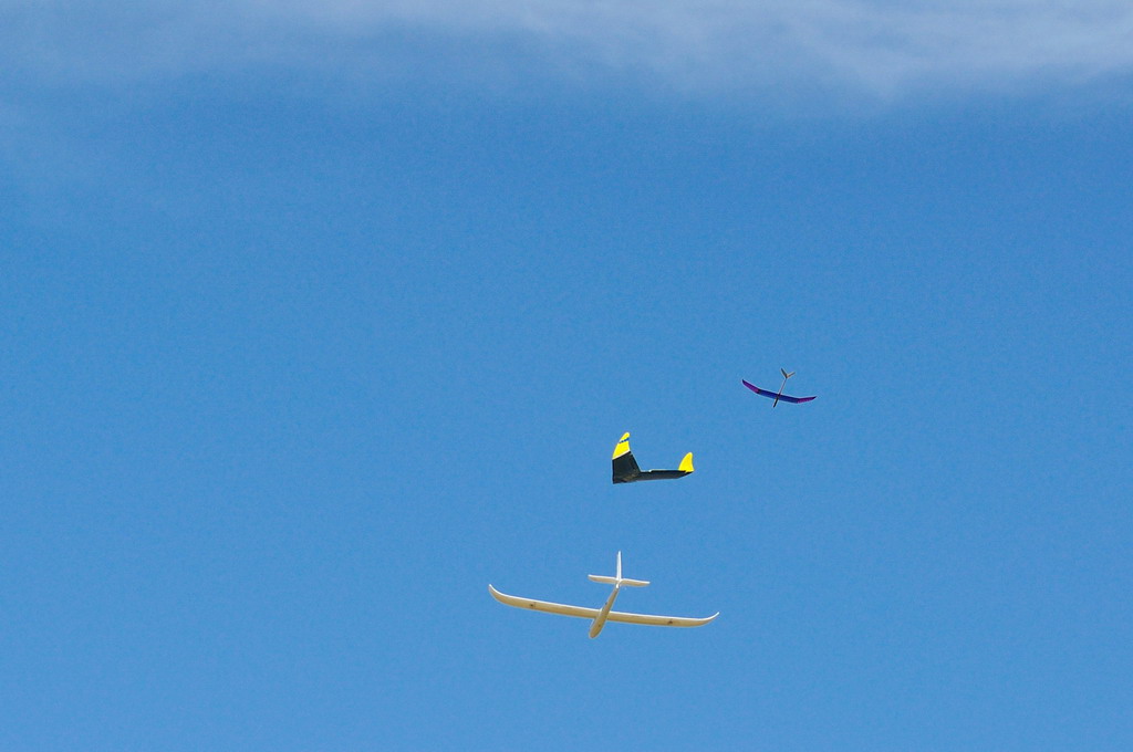 ����� ���� ��� �� ����� ��� ������ �� ������ �������