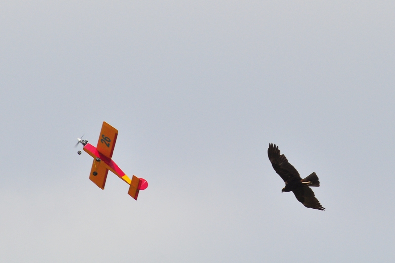 ����� ���� ��� �� ����� ��� ������ �� ������ �������