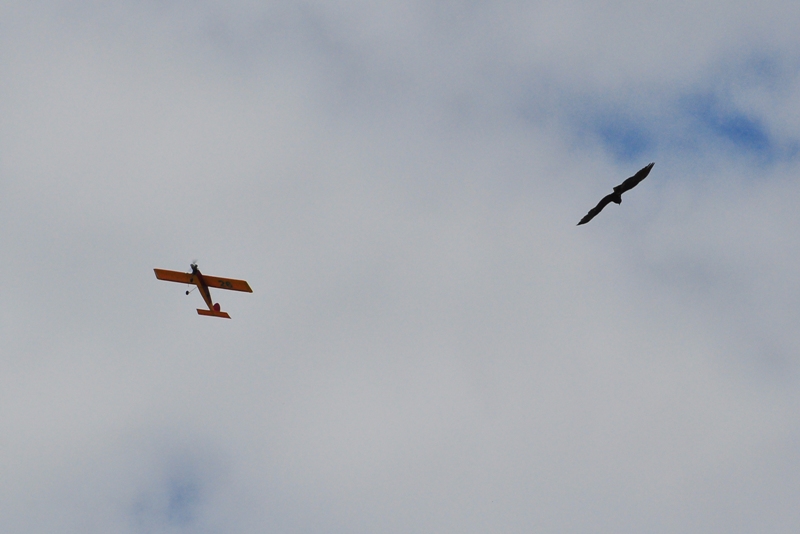 ����� ���� ��� �� ����� ��� ������ �� ������ �������