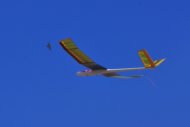 ����� ���� ��� �� ����� ��� ������ �� ������ �������