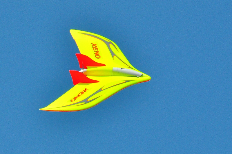 ����� ���� ��� �� ����� ��� ������ �� ������ �������