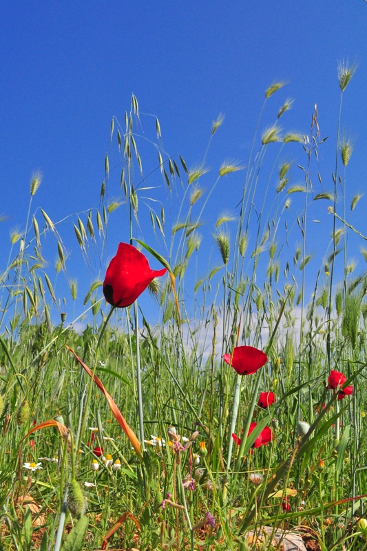 ����� ���� ��� �� ����� ��� ������ �� ������ �������