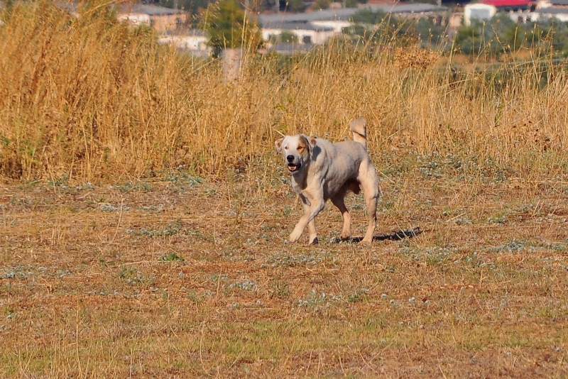 ����� ���� ��� �� ����� ��� ������ �� ������ �������