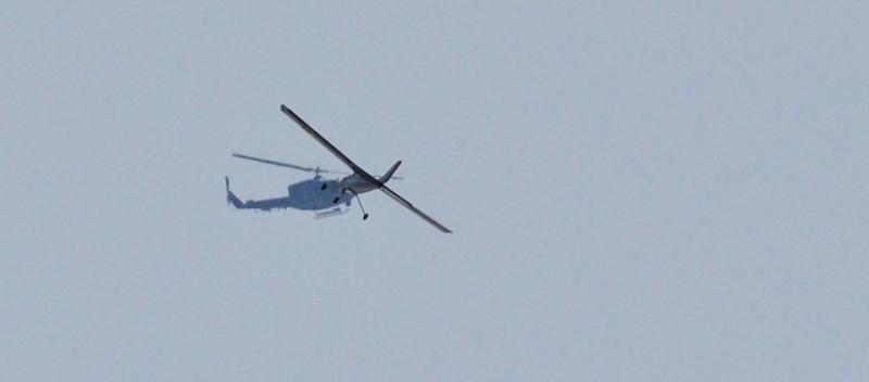 ����� ���� ��� �� ����� ��� ������ �� ������ �������