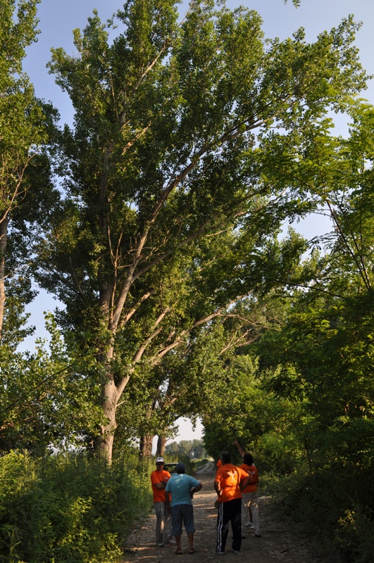 ����� ���� ��� �� ����� ��� ������ �� ������ �������