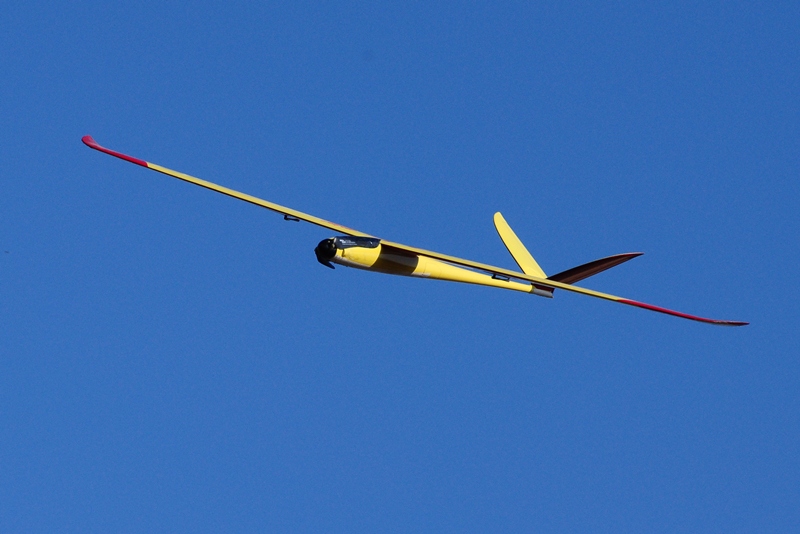 ����� ���� ��� �� ����� ��� ������ �� ������ �������