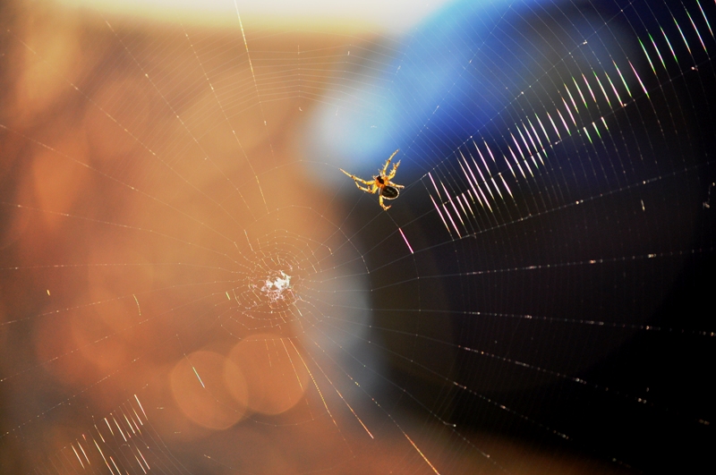 ����� ���� ��� �� ����� ��� ������ �� ������ �������