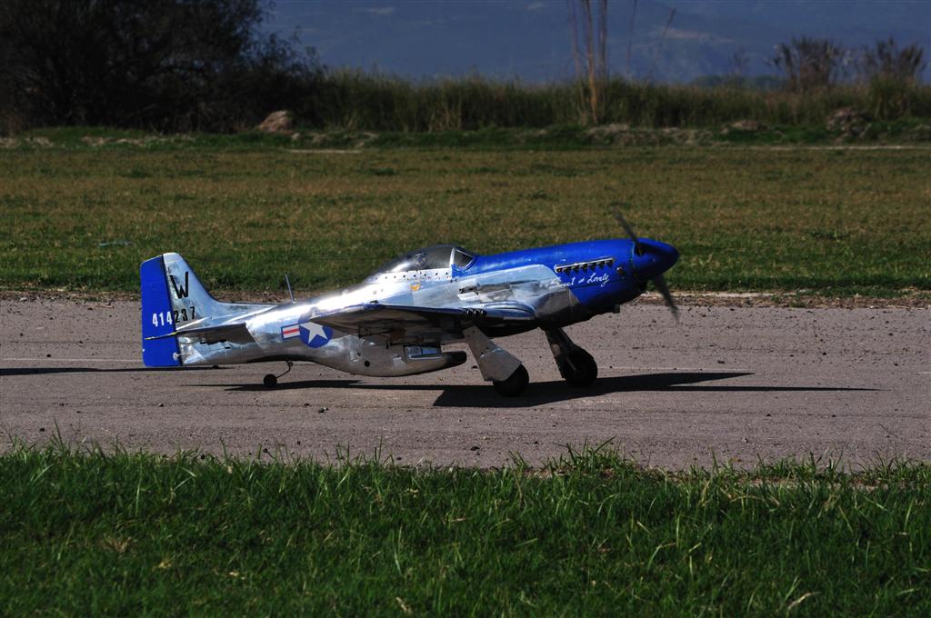 ����� ���� ��� �� ����� ��� ������ �� ������ �������