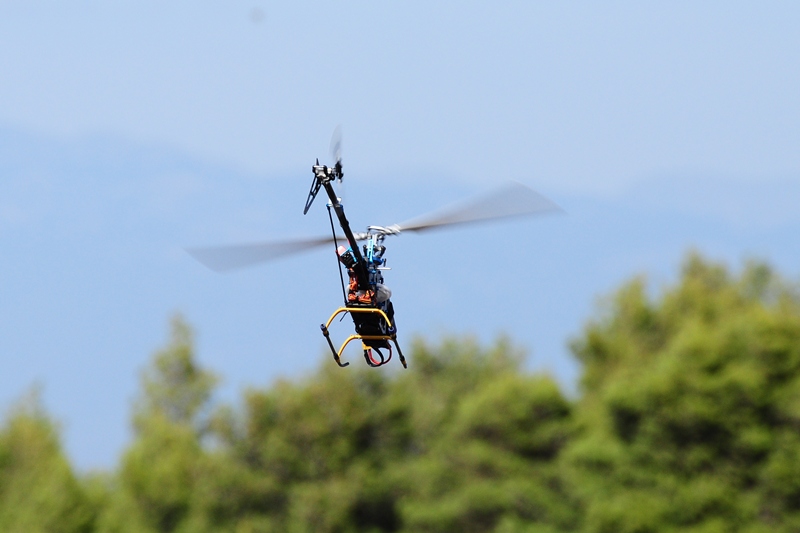 ����� ���� ��� �� ����� ��� ������ �� ������ �������