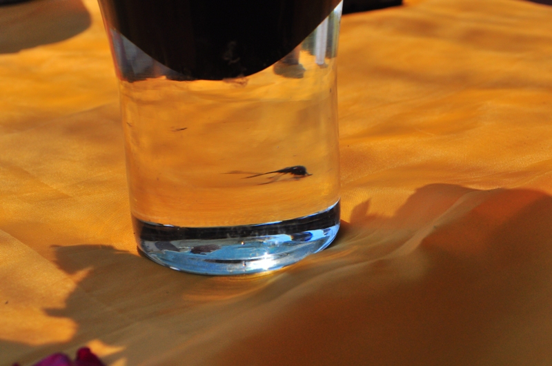 ����� ���� ��� �� ����� ��� ������ �� ������ �������