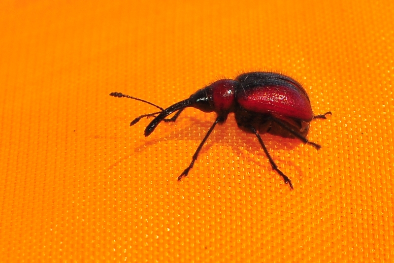 ����� ���� ��� �� ����� ��� ������ �� ������ �������