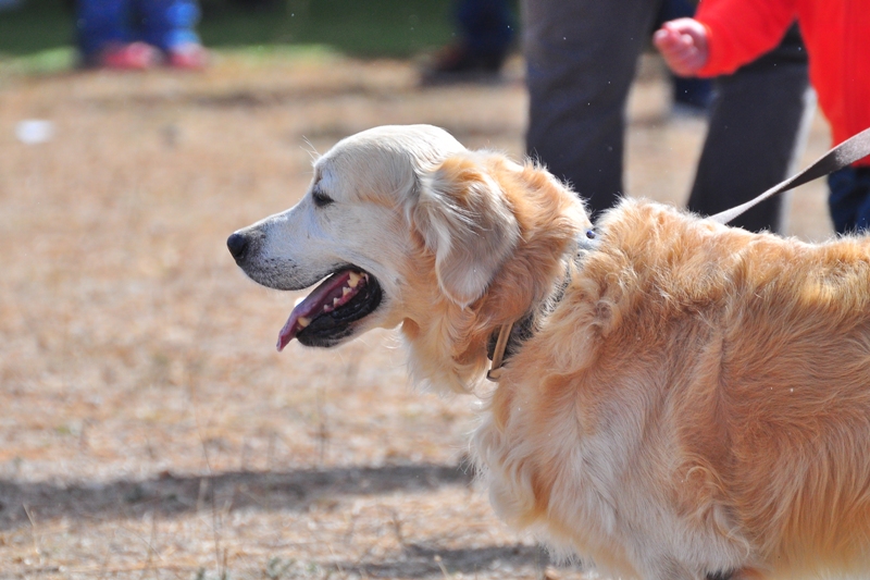 ����� ���� ��� �� ����� ��� ������ �� ������ �������