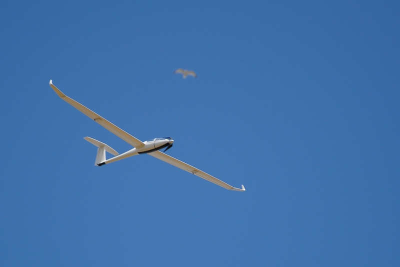 ����� ���� ��� �� ����� ��� ������ �� ������ �������