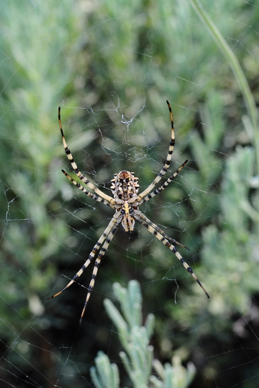 ����� ���� ��� �� ����� ��� ������ �� ������ �������