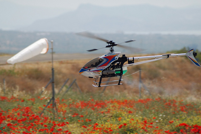 ����� ���� ��� �� ����� ��� ������ �� ������ �������