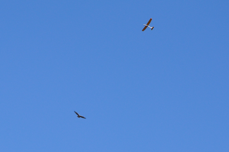 ����� ���� ��� �� ����� ��� ������ �� ������ �������