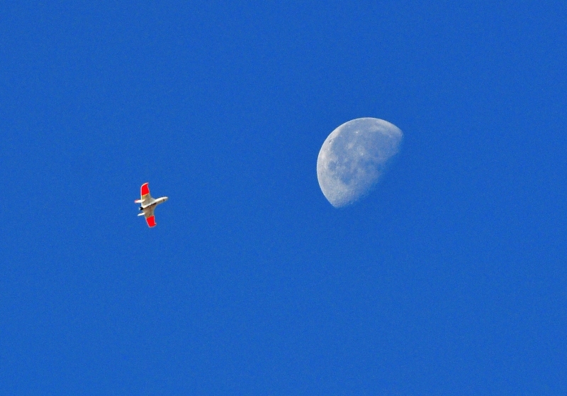 ����� ���� ��� �� ����� ��� ������ �� ������ �������