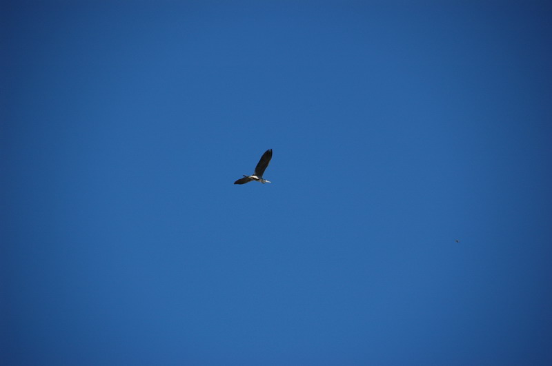 ����� ���� ��� �� ����� ��� ������ �� ������ �������