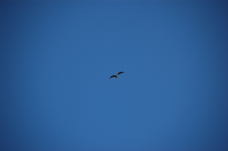 ����� ���� ��� �� ����� ��� ������ �� ������ �������