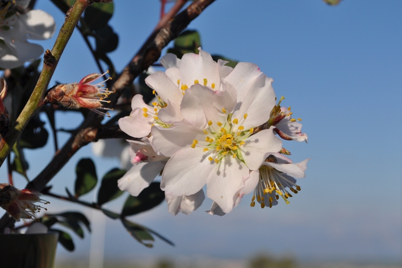 ����� ���� ��� �� ����� ��� ������ �� ������ �������