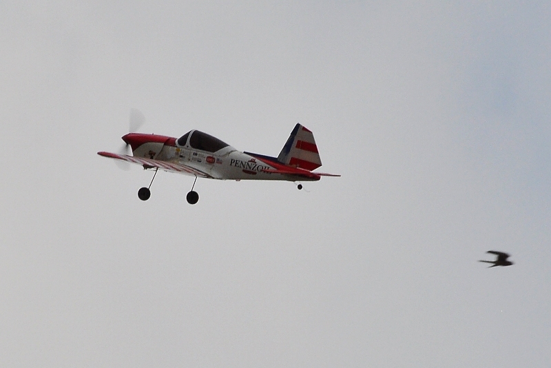 ����� ���� ��� �� ����� ��� ������ �� ������ �������