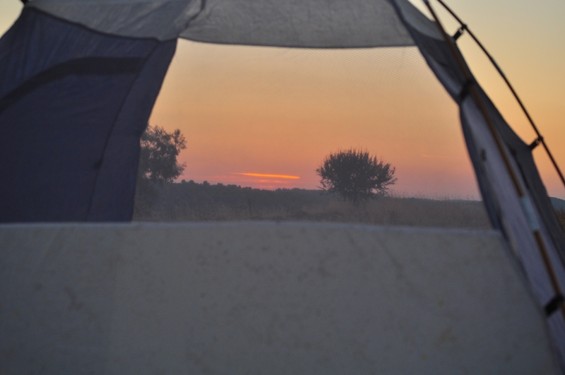 ����� ���� ��� �� ����� ��� ������ �� ������ �������