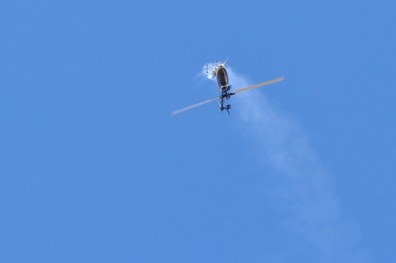 ����� ���� ��� �� ����� ��� ������ �� ������ �������