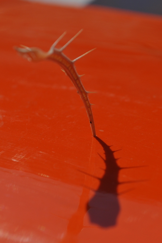 ����� ���� ��� �� ����� ��� ������ �� ������ �������