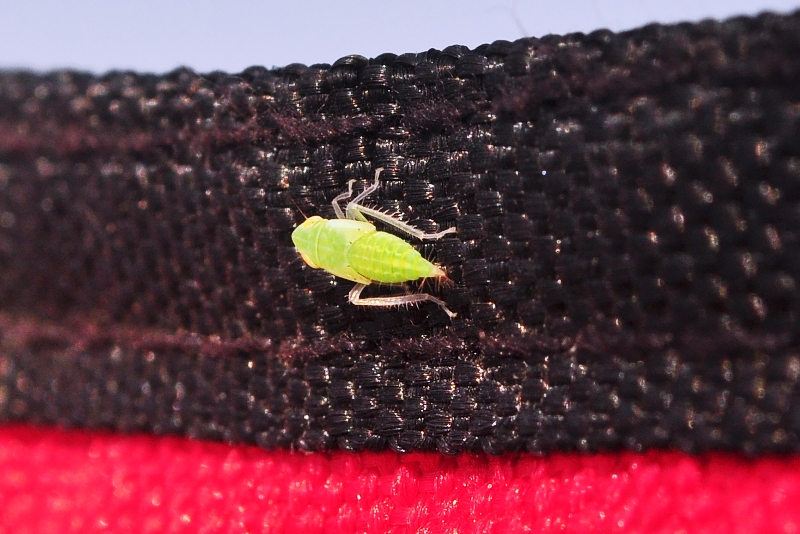 ����� ���� ��� �� ����� ��� ������ �� ������ �������