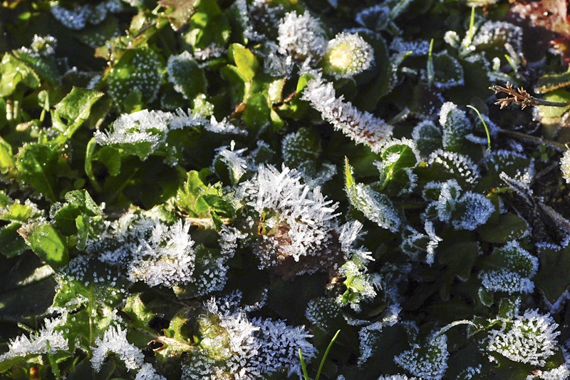 ����� ���� ��� �� ����� ��� ������ �� ������ �������