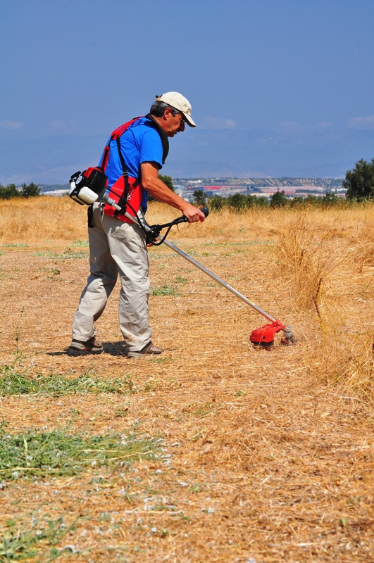 ����� ���� ��� �� ����� ��� ������ �� ������ �������