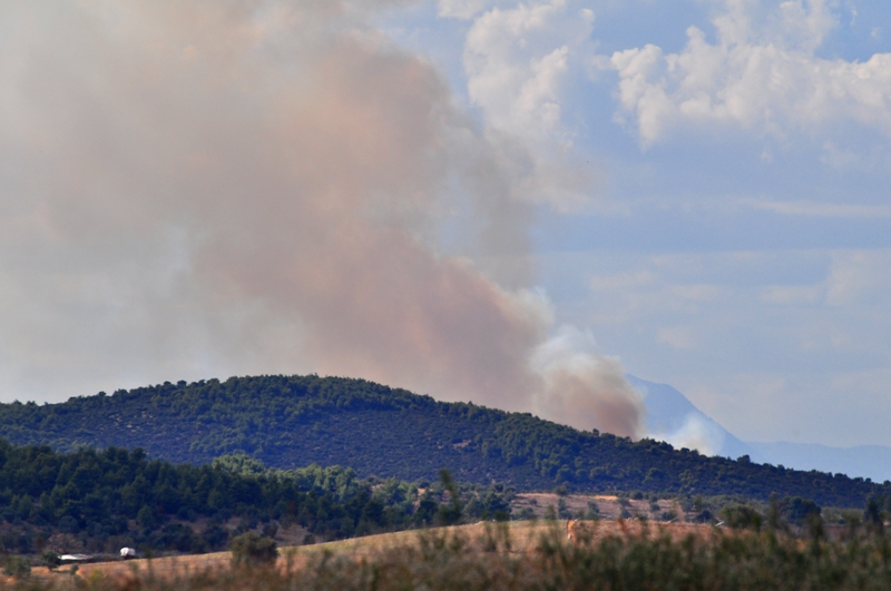 ����� ���� ��� �� ����� ��� ������ �� ������ �������