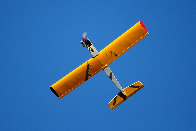 ����� ���� ��� �� ����� ��� ������ �� ������ �������